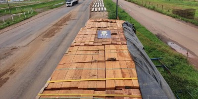 PRF realiza flagrante de transporte ilegal de madeira em Ariquemes