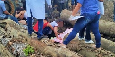 Crianças sobem em pilha de madeiras em serraria e uma acaba morrendo após toras...
