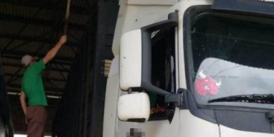 Pecuarista de Ariquemes aumenta idade de gado para fraudar o Fisco e animais são...