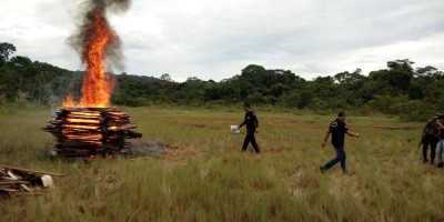 Polícia faz fogueira para incinerar 36 kg de cocaína em Costa Marques