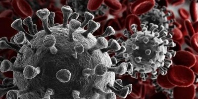 Brasil tem 621 casos confirmados de coronavírus; Rondônia tem 84 casos suspeitos