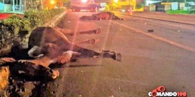 Animais na pista causam grave acidente na BR 364 em Ji-Paraná