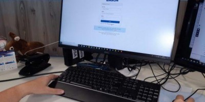 Declaração de rebanhos deve ser feita preferencialmente pela internet