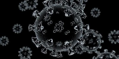 Brasil registra quase 72 mil casos de coronavírus e mais de 5 mil mortes