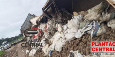 Carreta carregada com inhame tomba na BR 429 próximo de Alvorada do Oeste