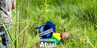 Cadáver de um homem é encontrado no setor Prainha de Ji-Paraná