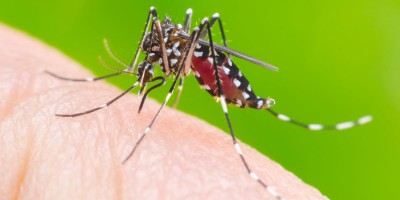 Casos de dengue aumentam 580% em Rondônia no primeiro trimestre de 2020