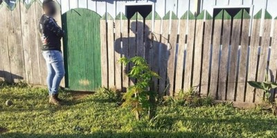 Casal é preso vendendo tratamento para Coronavírus na zona rural de Machadinho