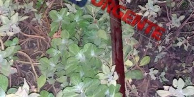 Mulher é morta com golpes de facão no pescoço em Ariquemes