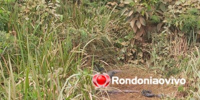 Polícia identifica homem encontrado morto às margens de rodovia em Porto Velho