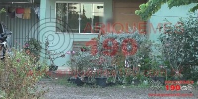 Quatro pessoas são hospitalizadas e dois cachorros morrem em ataque de abelhas no Setor...