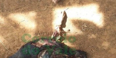 Grupo de índios isolados aparece em sítio na região de Seringueiras e assusta moradores
