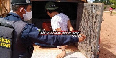 Foragido da Justiça, acusado de crime de roubo, é recapturado pela PM em Rolim de Moura