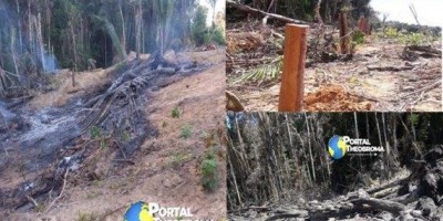 Homem é multado em quase R$ 9 mil por queimada e desmatamento em propriedade rural