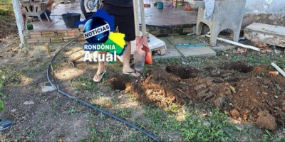 Droga é localizada enterrada em quintal de residência, em Ji-Paraná