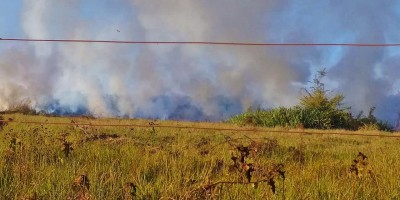 Bombeiros controlam fogo em pastagem no bairro Beira Rio, em Rolim de Moura; Sedam e PM...