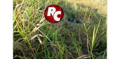 Motociclista morre após colisão em meio fio na BR-429 em São Francisco