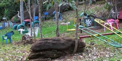 Espaço Gaia Amiga realiza mudanças para atender a população pós pandemia em Rolim de...