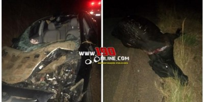 Três ficam feridos após carro bater em vaca na zona rural de Alta Floresta