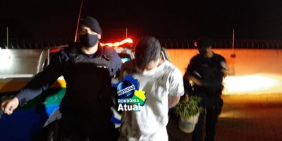 Indivíduo é preso com arma de fogo e cultivando pé de maconha no quintal de casa em...