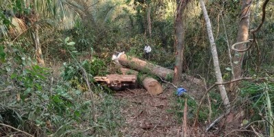 Motorista morre esmagado após caminhão toureiro perder controle e tombar em Alto Alegre