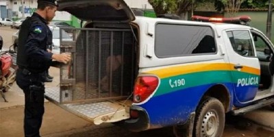 Homem é preso após tentar estuprar garoto de 13 anos em Porto Velho
