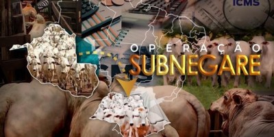 MP investiga grupo suspeito de sonegar mais de R$ 6 milhões em impostos na venda de gado...