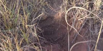 Pais são suspeitos de matar e enterrar bebê de cinco meses em Goiás
