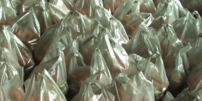 Merenda escolar da rede estadual de ensino é revertida em kit alimentação em Rolim de...