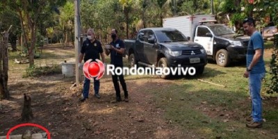 Polícia é acionada após crânio humano ser encontrado em fazenda na zona rural de...