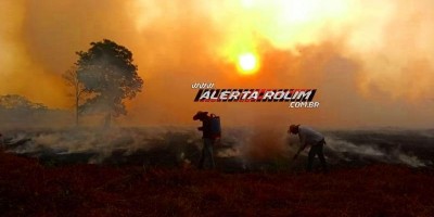 Incêndio destrói pastagem na zona rural de Nova Estrela