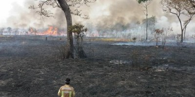 Bombeiros tentam apagar incêndio em pastagem há 5 dias em Pimenta Bueno