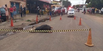 PM emite nota sobre abate a tiros de búfala que atacava pessoas em Porto Velho