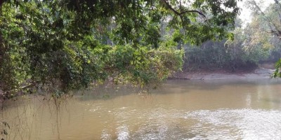 Mãe tenta salvar filha de afogamento e desaparece em rio na zona rural de Ariquemes