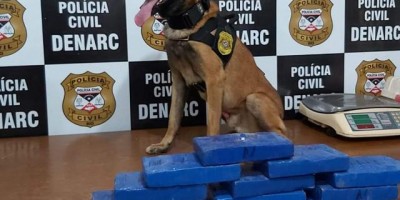 Com ajuda de cão farejador, polícia apreende quase R$ 300 mil em drogas em Porto Velho