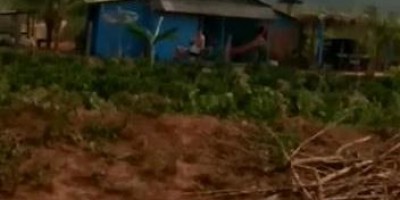 Grupo de índios armados com arco e flechas aparecem pela 2ª vez na zona rural de...