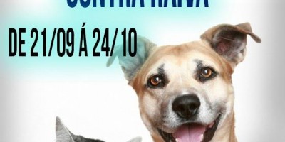 Vacinação antirrábica canina e felina começa no próximo dia 21 em Rolim de Moura