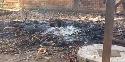 Corpo é encontrado carbonizado nos fundos de residência em Porto Velho; veja o vídeo