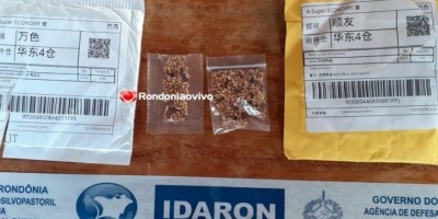 Ministério da Agricultura diz que 17 estados receberam sementes misteriosas pelos...