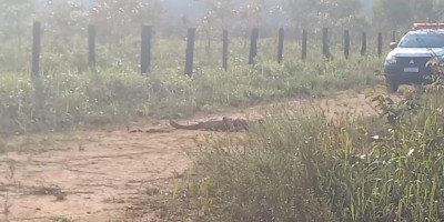 Jovem é morto a golpes de facão em terreno abandonado em Porto Velho