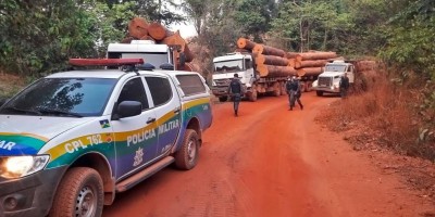 PM realiza operação contra crimes ambientais e tráfico de drogas nas zonas rurais de...