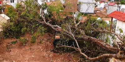 Temporal causa destruição no cemitério São José em Rolim de Moura