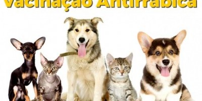 Rolim de Moura terá campanha de vacinação antirrábica para cães e gatos no próximo...