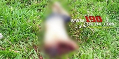 PM prende trio acusado de matar Técnico de Enfermagem com requintes de crueldade, em...