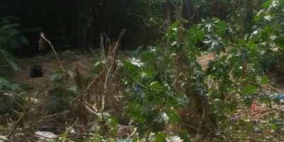 Mulher grita por socorro e escapa de ser estuprada em terreno baldio