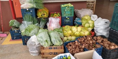 Prefeitura de Rolim de Moura distribui 4 toneladas de alimentos do PAA