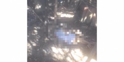 Criança morre eletrocutada em cerca ao tentar pegar abóbora para a mãe em Porto Velho