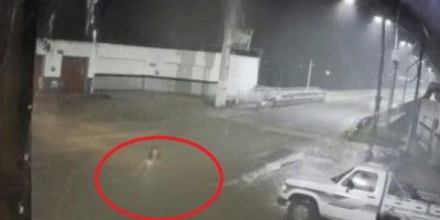 Veja o vídeo: Mulher 'desaparece' durante noite chuvosa e intriga moradores do interior...