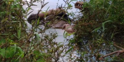 Jovem é encontrado degolado às margens do Rio Machado em JI-Paraná