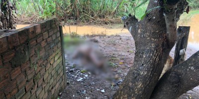 Idoso de 63 anos é assassinado a facadas em Jaru